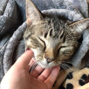 Meet your Posher, Vanessa